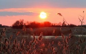 The Tablas of Daimiel at sunset